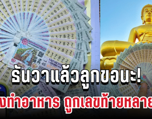 ธันวาแล้วลูกขอนะ! แฟนคลับเฮลั่น เพจดังทำอาหาร ถูกเลขท้ายหลายสิบใบ