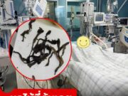 แม่ลูกป่วยคู่ ตับ-ไตวายพร้อมกัน หมออุทาน “สิ่งนี้มีพิษ” มันคือพืชต้องห้าม..