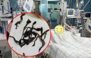 แม่ลูกป่วยคู่ ตับ-ไตวายพร้อมกัน หมออุทาน “สิ่งนี้มีพิษ” มันคือพืชต้องห้าม..