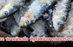 เตือน!! ปลาที่ถูกจัดเป็นสารก่อมะเร็งระดับ1 หลายคนชอบมาก