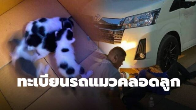 wmremove-transformed-5-1-1024x576-1