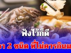 ปลา 2 ชนิด ที่ไม่ควรกินมาก เพราะอาจรับยาปฏิชีวนะและโลหะหนักเข้าสู่ร่างกาย