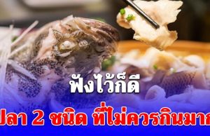 ปลา 2 ชนิด ที่ไม่ควรกินมาก เพราะอาจรับยาปฏิชีวนะและโลหะหนักเข้าสู่ร่างกาย