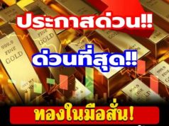 ราคาทองคำวันนี้ 16 กุมภาพันธ์ 2569 ประกาศครั้งที่ 1