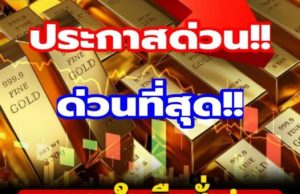 ราคาทองคำวันนี้ 16 กุมภาพันธ์ 2569 ประกาศครั้งที่ 1