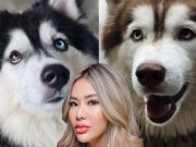 เจ้าของเก่า “มอลลี่” หัวใจสลาย เศร้าข่าวร้าย สุดห่วงคู่หูตรอมใจ