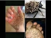 หากคุณเห็นสิ่งเหล่านี้ในบ้านของคุณ อย่าแตะต้องมัน วิ่งไปเลย…