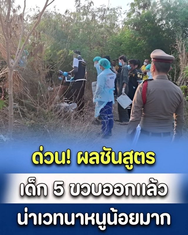 FB_IMG_1771930215512