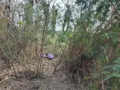 ถึงกับตกใจ เปิดผลชันสูตรหนูน้อย 5 ขวบ ถูกทิ้งในป่าสระบุรี