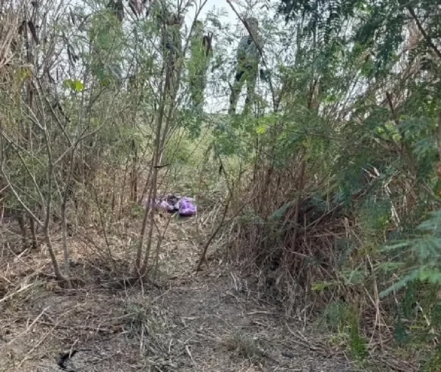 iioCFpBRe48C1g3umt66