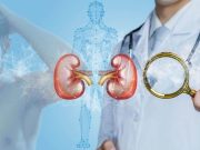 เช็กข่าวชัวร์ : หมอเฉลย “การช่วยตัวเอง” ยิ่งทำบ่อยๆ ยิ่งเร่งไตเสื่อม-ไตวาย จริงหรือไม่?